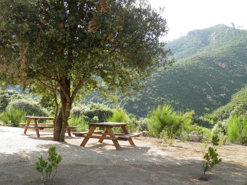 Bed and Breakfast L'Ogliastru Ucciani Экстерьер фото